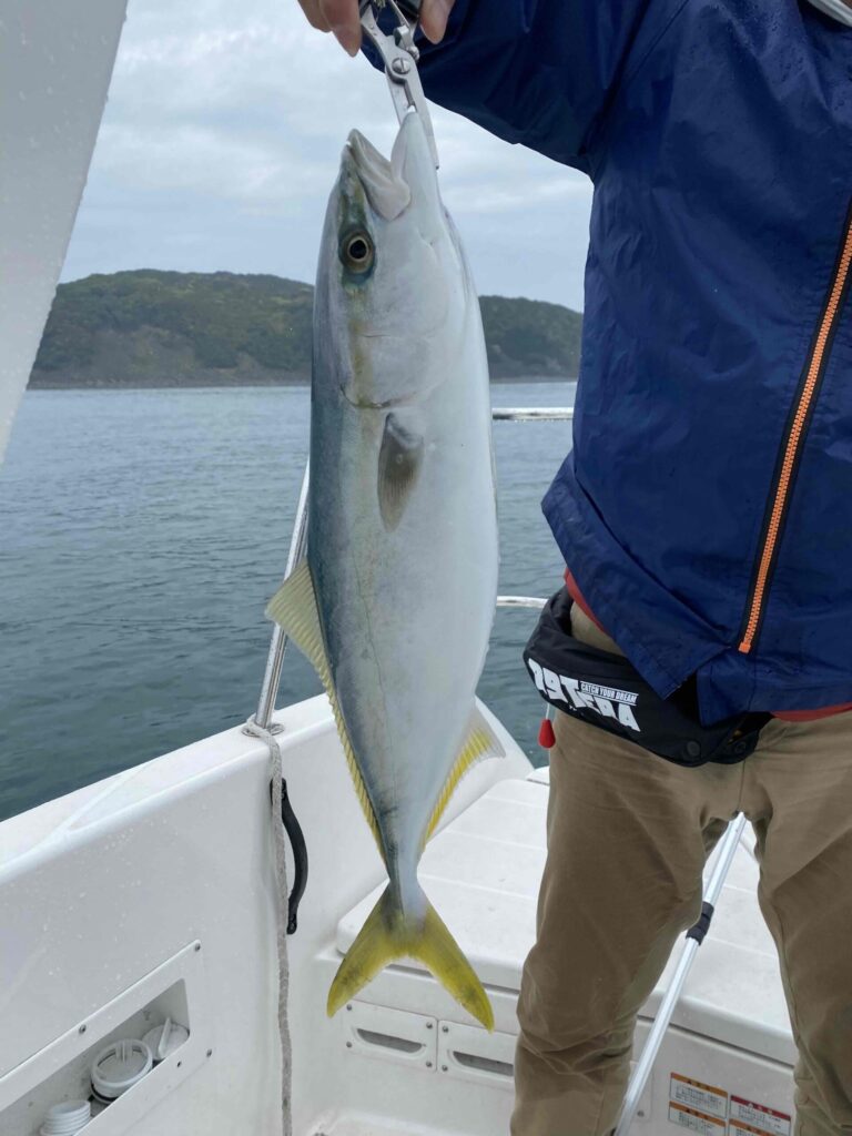タイラバで釣り上げたハマチを船上で持ち上げている写真