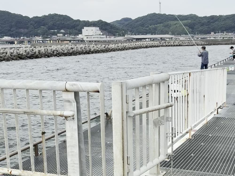 豊浜釣り桟橋の柵と通路で釣りをする人