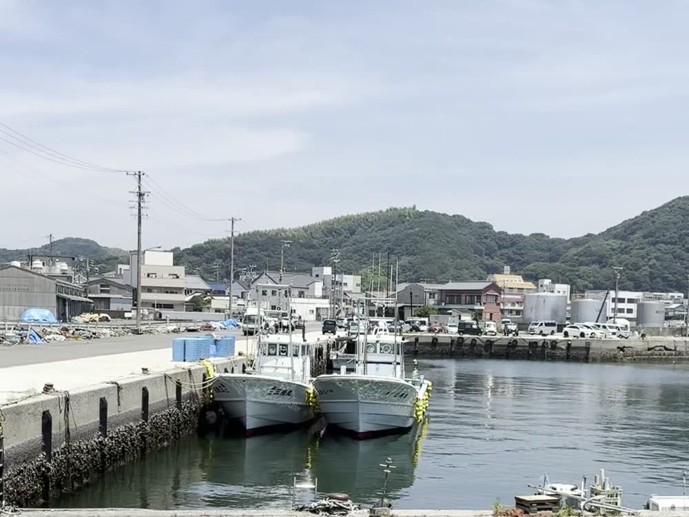 豊浜漁港の全景と漁船