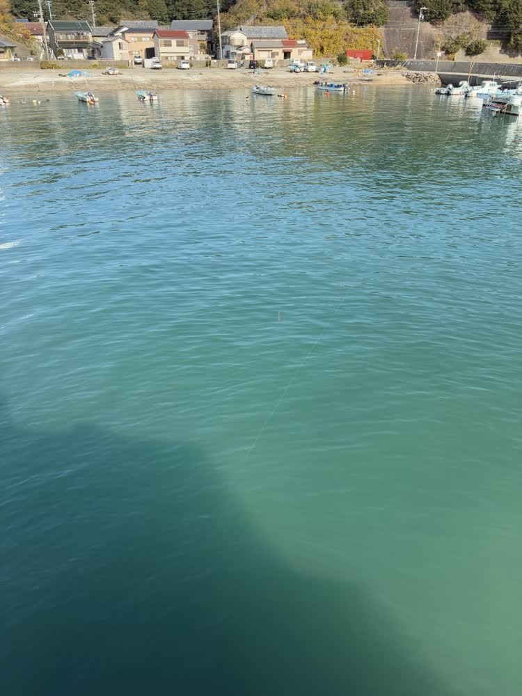 大井漁港 灯台周りの釣り場風景