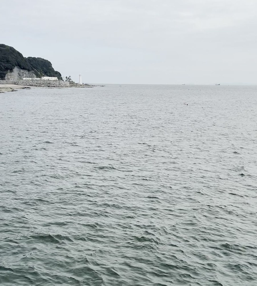ふぐさき港の海と、山、白い建物