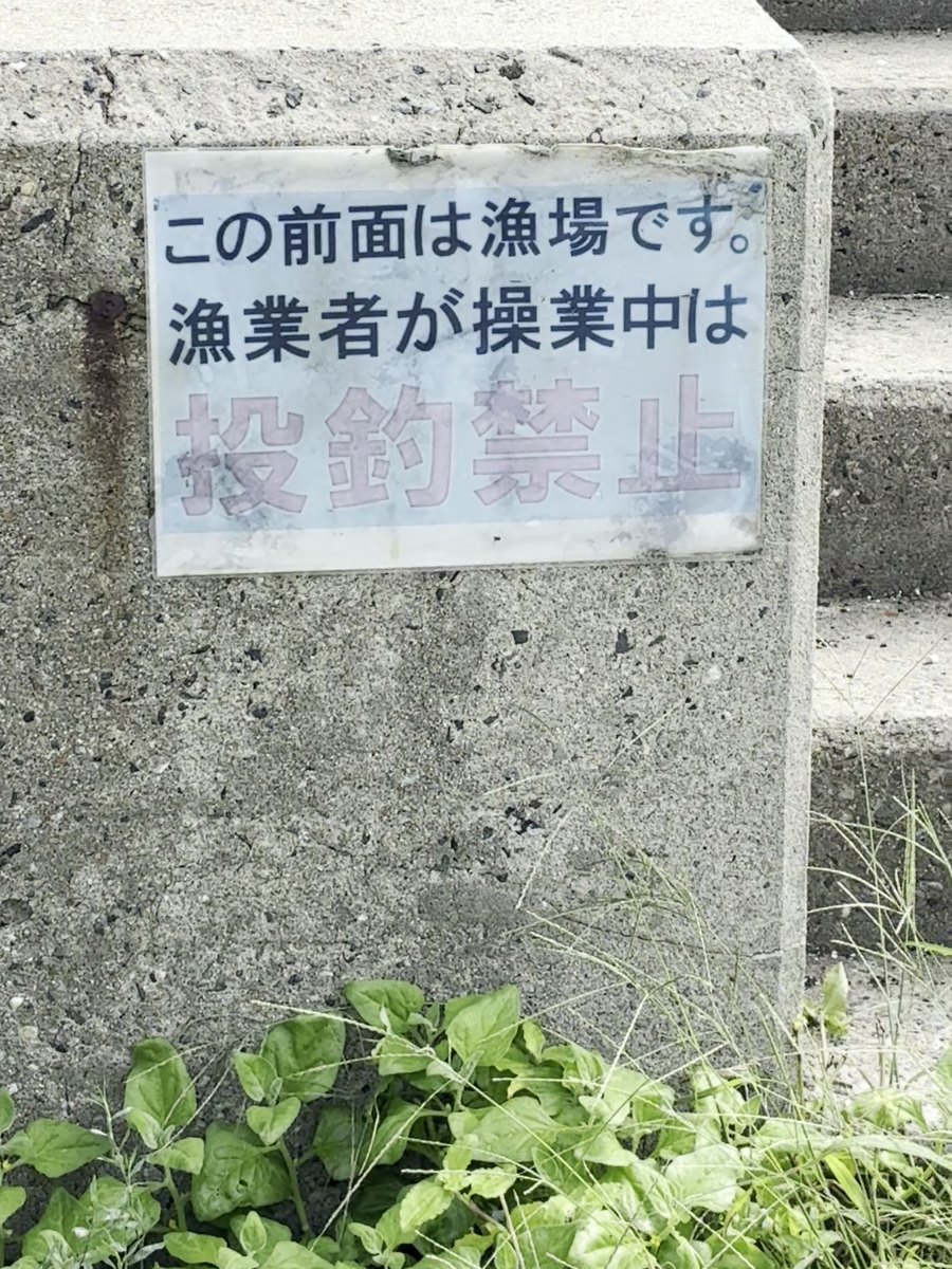 この前面は漁場です。漁業者が操業中は投げ釣り禁止と書かれた看板