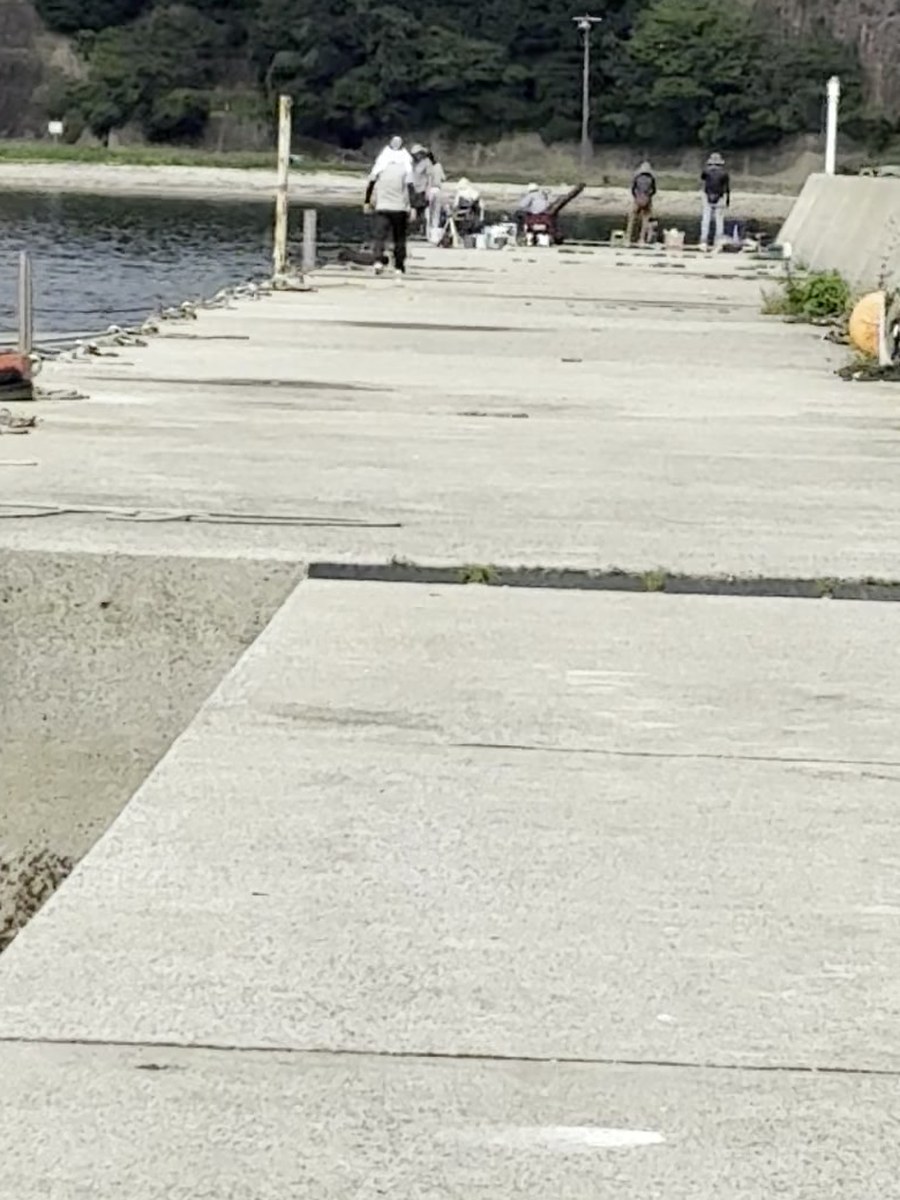 聖崎側の堤防の先で釣りをしている人たち