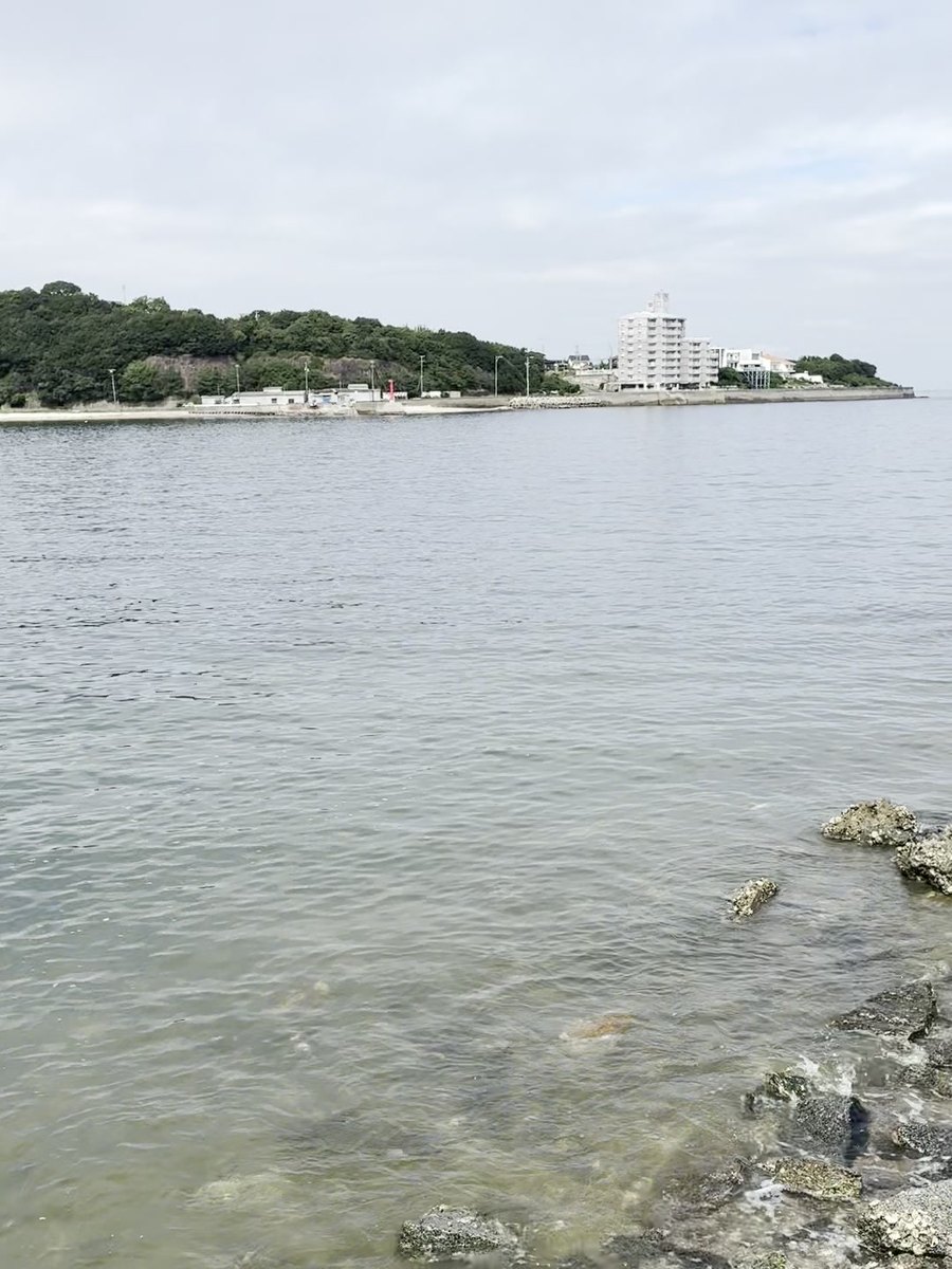 大井漁港の透き通った海水