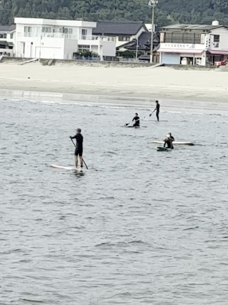 内海港の沖でSUPを楽しむ人たち